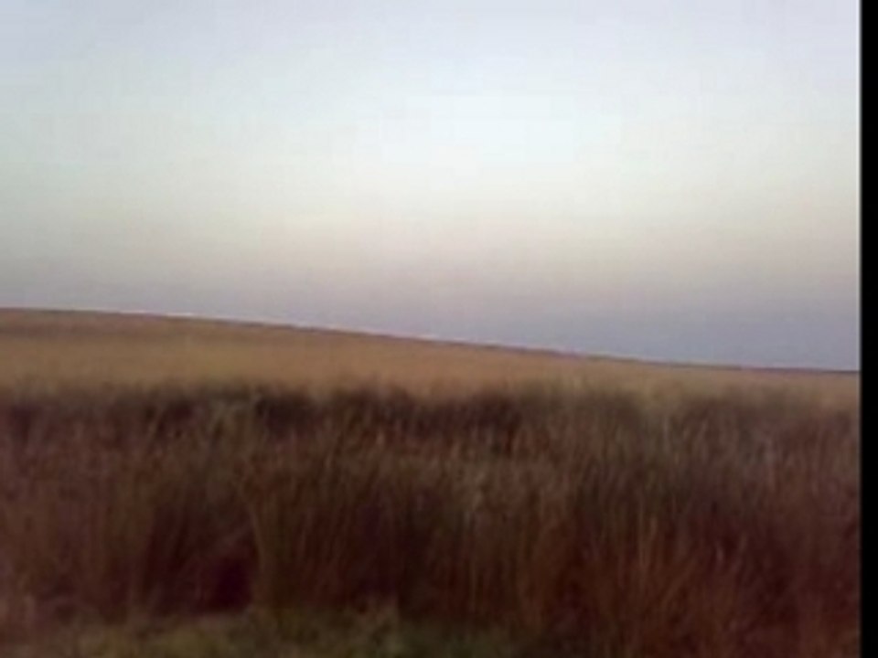 Algerie SPA thermal port aux poules