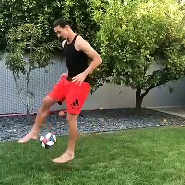 Ibrahimovic Matrix challenge