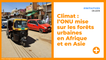 Climat : l’ONU mise sur les forêts urbaines en Afrique et en Asie