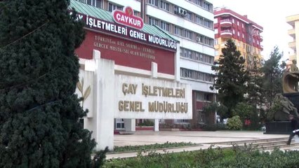 ÇAYKUR 721 bin ton yaş çay aldı