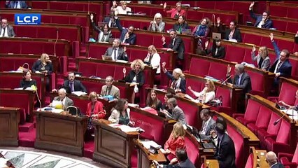 Bioéthique : les conditions d'adoption d'un amendement LaREM dénoncées par des députés d'opposition