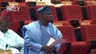 Nigerian Senators disagree over closure of borders