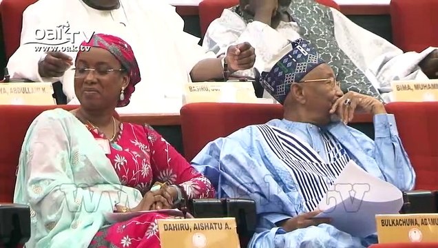 Security agencies overseeing Nigerian borders have failed - Abaribe