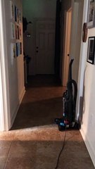 Mysterious Vacuum Disappearance in Louisville 🧹