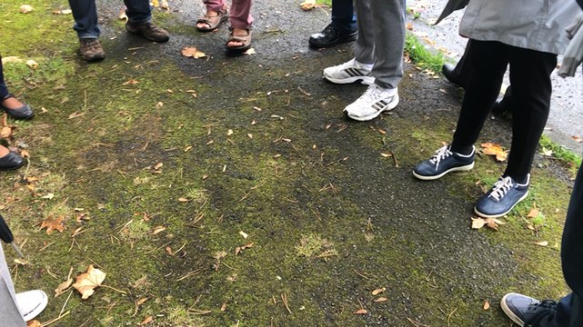 Des riverains excédés par le bruit de la quatre voies