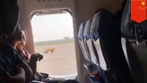 Chinese woman pops open plane emergency door for some air