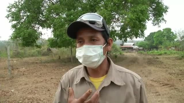 Las llamas devoran 4 millones de hectáreas en Bolivia