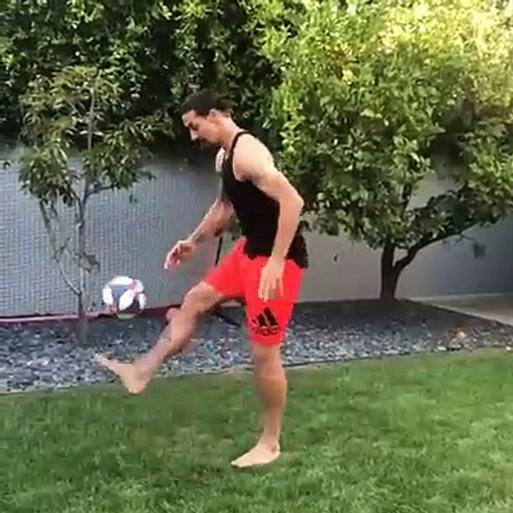 Ibrahimovic lance le Matrix Challenge !