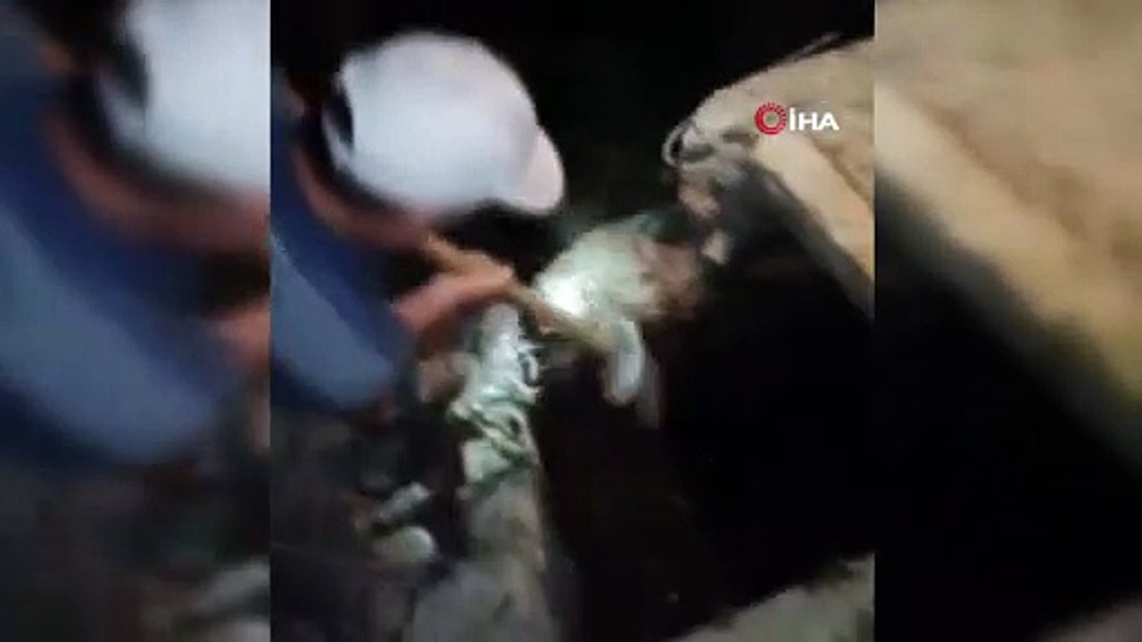 Su deposunda mahsur kalan inek için köy sakinleri seferber oldu