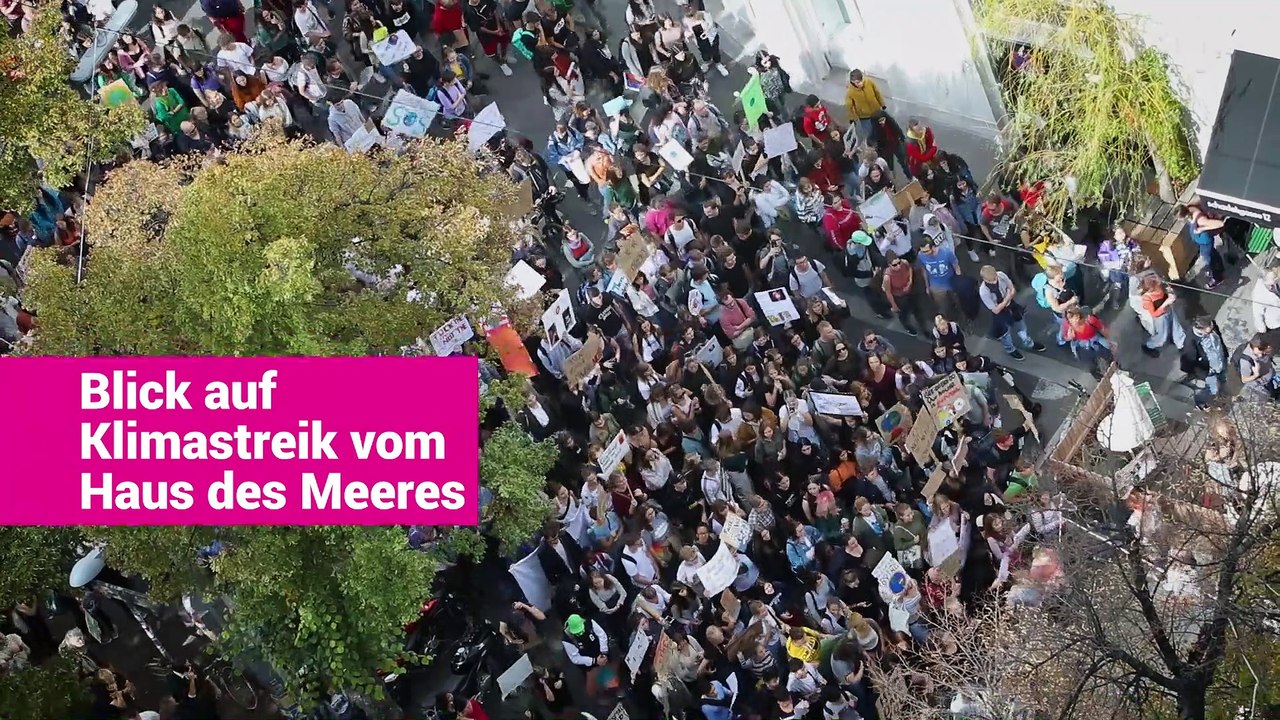 Blick vom Haus des Meeres