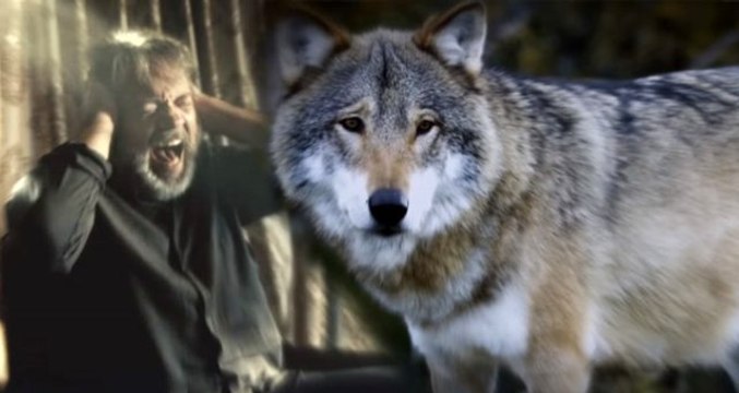 Savaşçı 4. sezon 3. fragmanı! Savaşçı yeni sezonu ne zaman başlıyor?