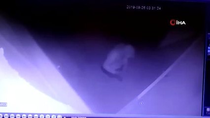 Çaldıkları motosikleti çalıştıramayınca zarar verdiler