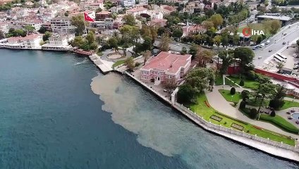 Boğaz sularını kaplayan çamur, merak uyandırdı