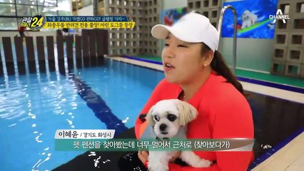 ↖마린 도그들의 등장↗ 반려견 전용 풀장에서의 수영 수업!?