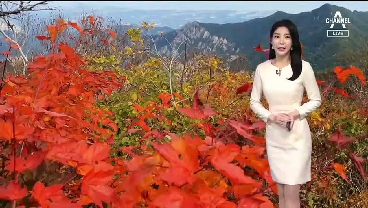 [날씨]주말 서울·중부 ‘쾌청’…남부 최고 60mm 요란한 비