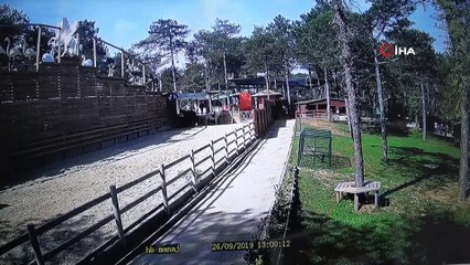 Tavşanlar deprem anında kulübelerine böyle sığındı...Hayvanların 5.8'lik depreme tepkileri kamerada