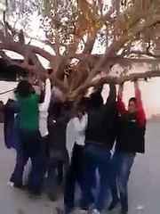 video corto de risa - 30 segundos