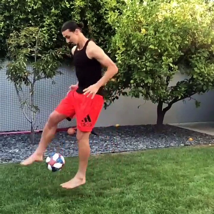 Zlatan İbrahimovic 'Matrix Challenge'ı başlattı, Paul Pogba'ya meydan okudu