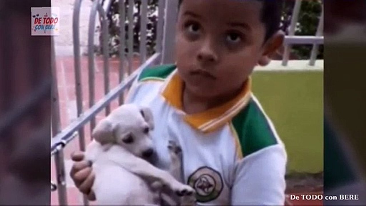 CUANDO TE MANDAN A LA TIENDA Y REGRESAS CON UN PERRO