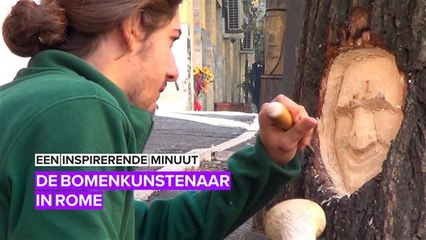 Een inspirerende minuut: de boomkunstenaar uit Italië