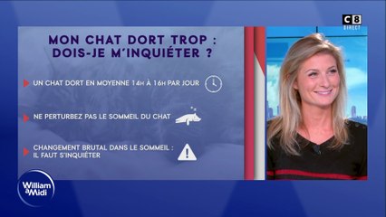 Mon chat dort trop : dois-je m'inquiéter ?