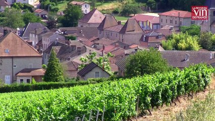 La Cave de Lugny signe des crémants de Bourgogne à la personnalité très marquée
