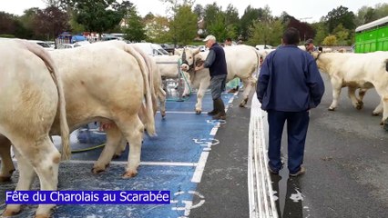 La fête du Charolais