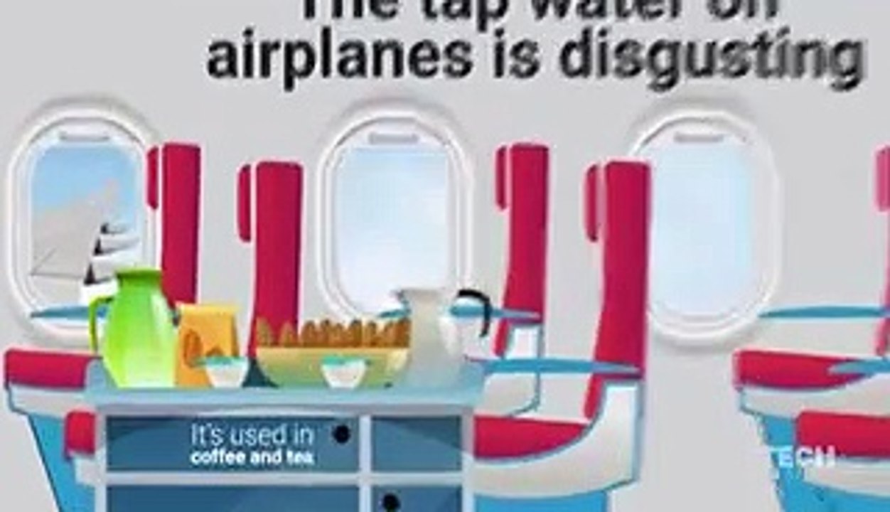 Here's why flight attendants avoid drinking tap water on airplanes