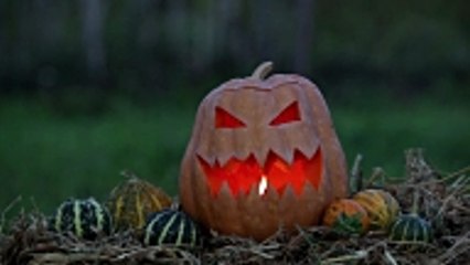 Netflix's Halloween Lineup of Movies and Shows
