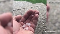 Thunderstorms bring hail and high winds to Ontario
