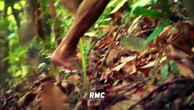 Retour à l'instinct primaire : des candidats nus en pleine jungle pour la saison 2