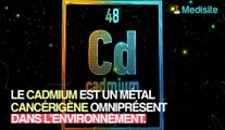 Cadmium : cette substance cancérogène contenue dans les pains, pommes de terre, légumes et crustacés