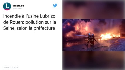 Incendie de l’usine Lubrizol à Rouen. Des galettes d’hydrocarbures apparaissent sur la Seine