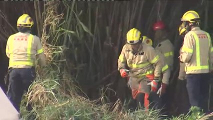 Hallado el cuerpo del bebé en un cañaveral del río Besós