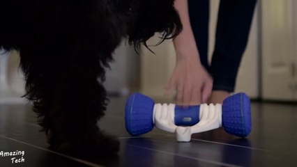 5 Amazing Gadgets for Your Pet Lover #4