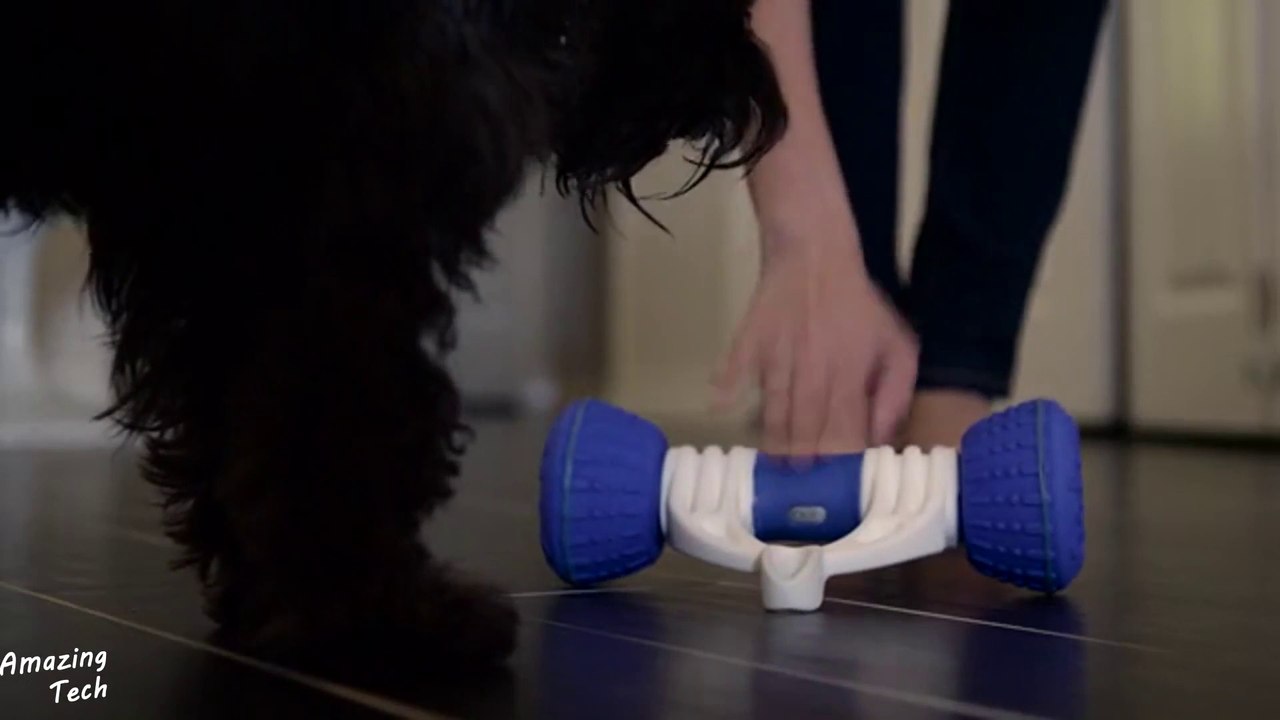 5 Amazing Gadgets for Your Pet Lover #4