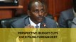 Perspective: Budget cuts over piling foreign debt