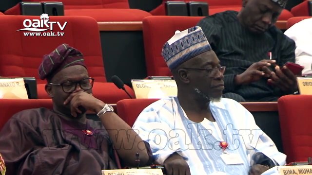 Some Senators don't know why they were elected - Okorocha