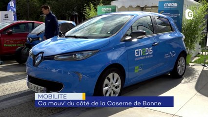 Mouv, theatre premol, loup - 27 SEPTEMBRE 2019