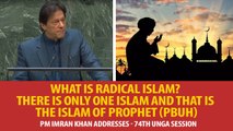 What is radical Islam? There is only ONE Islam and that is the Islam of Prophet (PBUH): PM Imran Khan