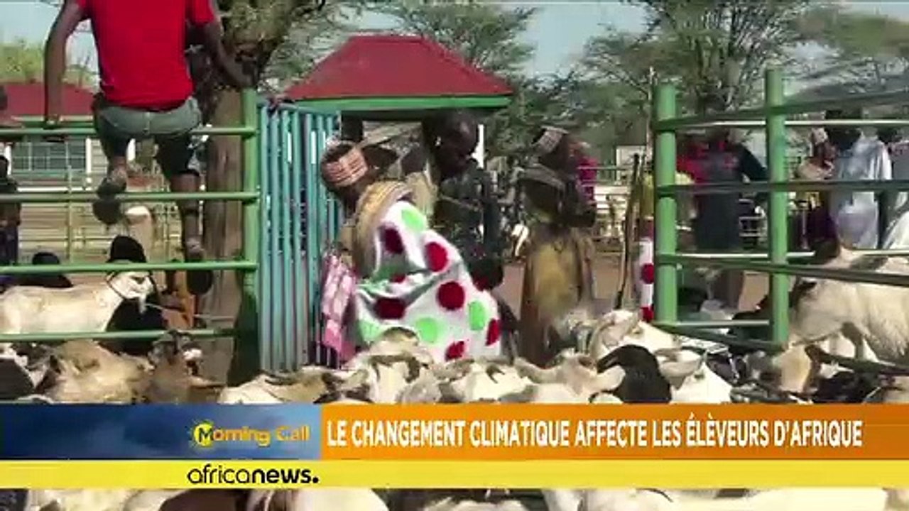 Climate change turns heat on Africa's pastoralists [The Morning Call]
