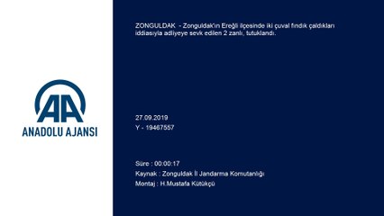 Fındık hırsızlığı iddiası - ZONGULDAK