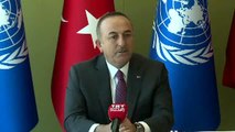 Çavuşoğlu: 