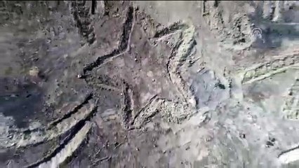 Yanan ormana 'ay-yıldızlı' proje - SİVAS