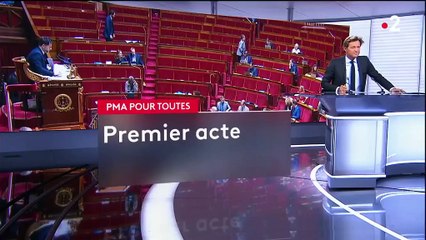 La PMA pour toutes les femmes a été adoptée par les députés