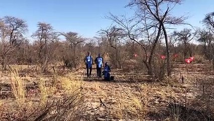 El príncipe Enrique "emocionado" al seguir los pasos de su madre para denunciar las minas