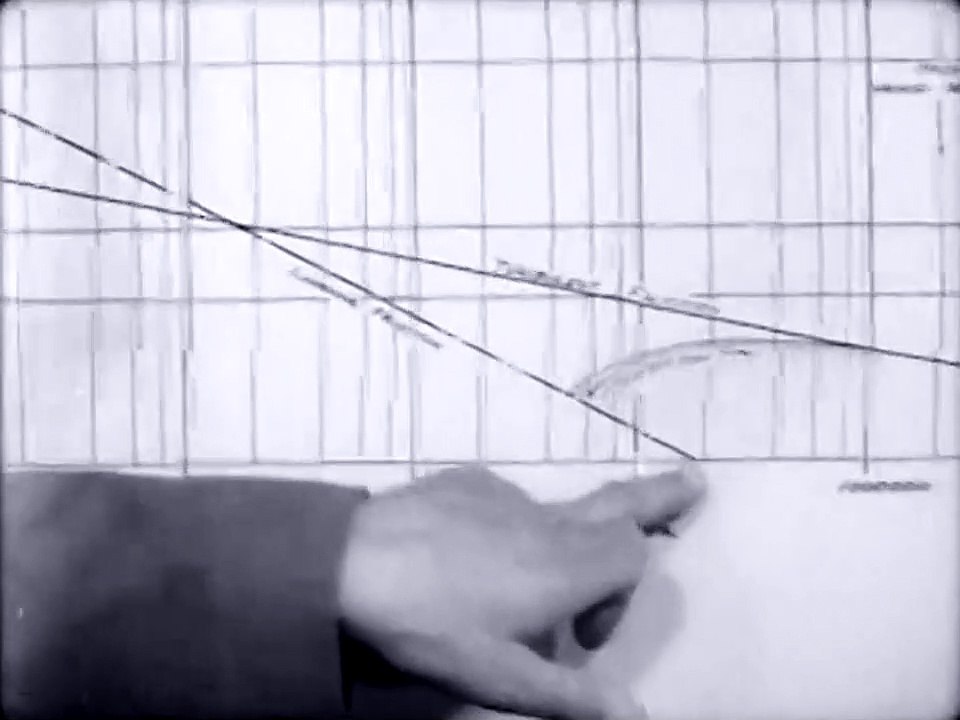 The Secret of Flight - N° 12 -  Flight in Nature (1955)