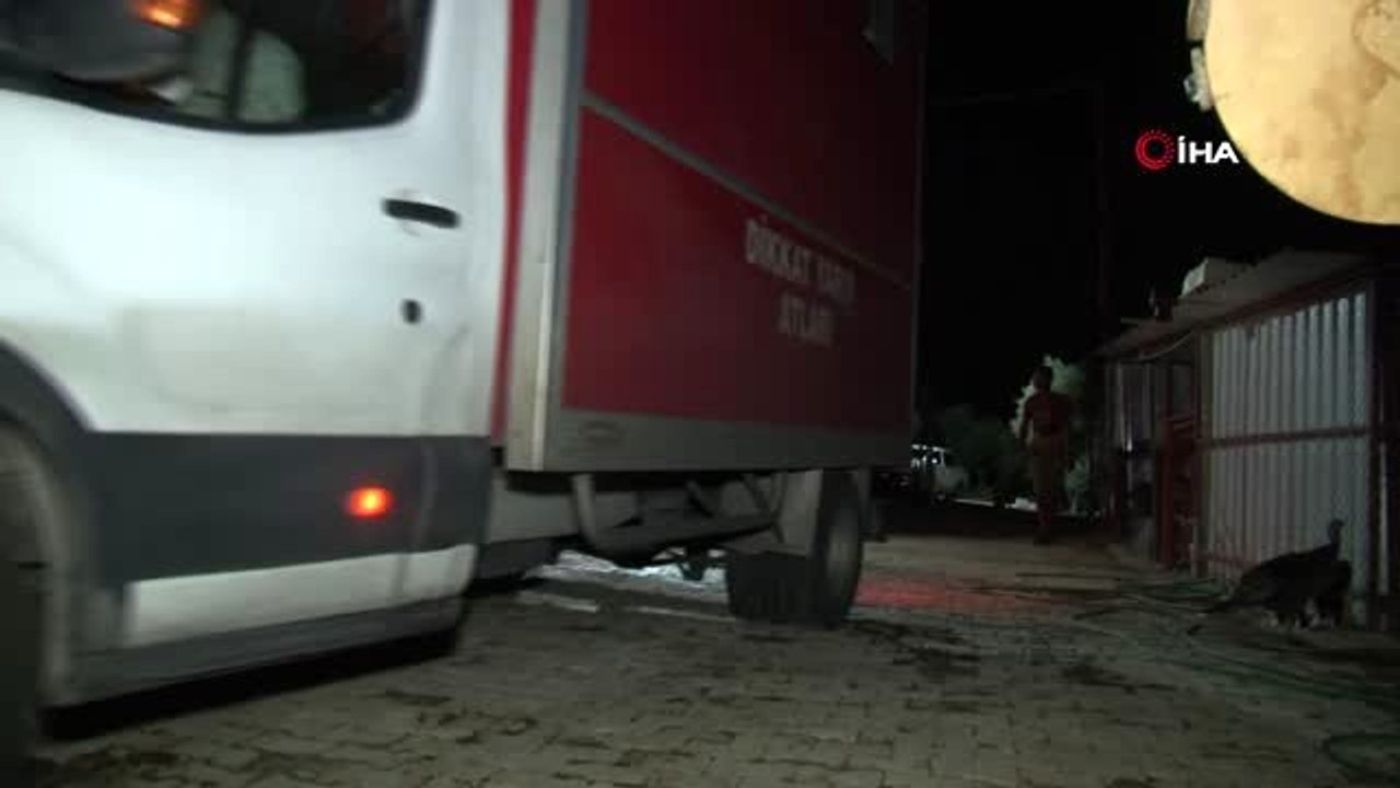 Dana Ferdinand'ın kader ortağı Moritos, huzur çiftliğinde