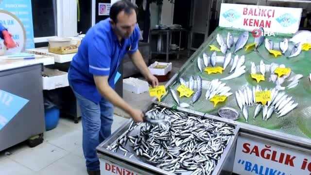 Balık tezgahları boş, bu sezonun kurtarıcısı hamsi oldu