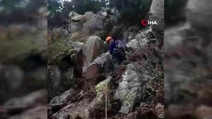 Kayalıklarda mahsur kalan 4 keçi kurtarıldı